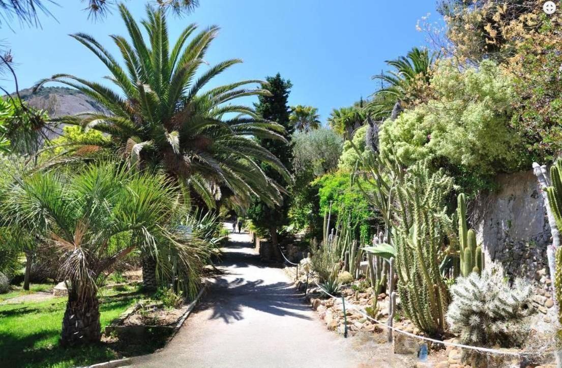 Logement climatisé avec jardin et parking pour 2 personnes en bord de plage La Ciotat Exterior foto